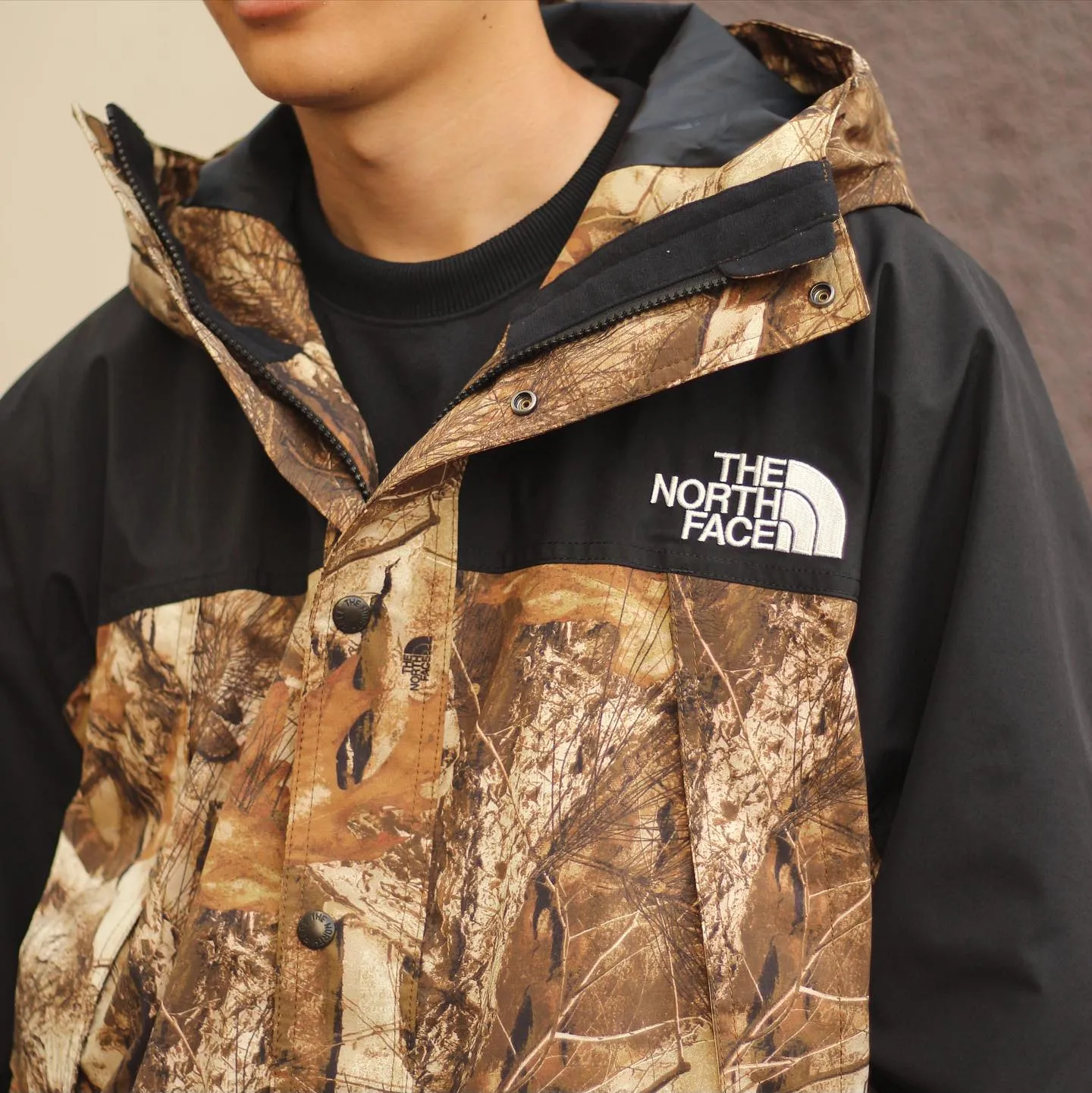日版The North Face Mountain Light GTX Jacket Forest Floor $1700起免運!