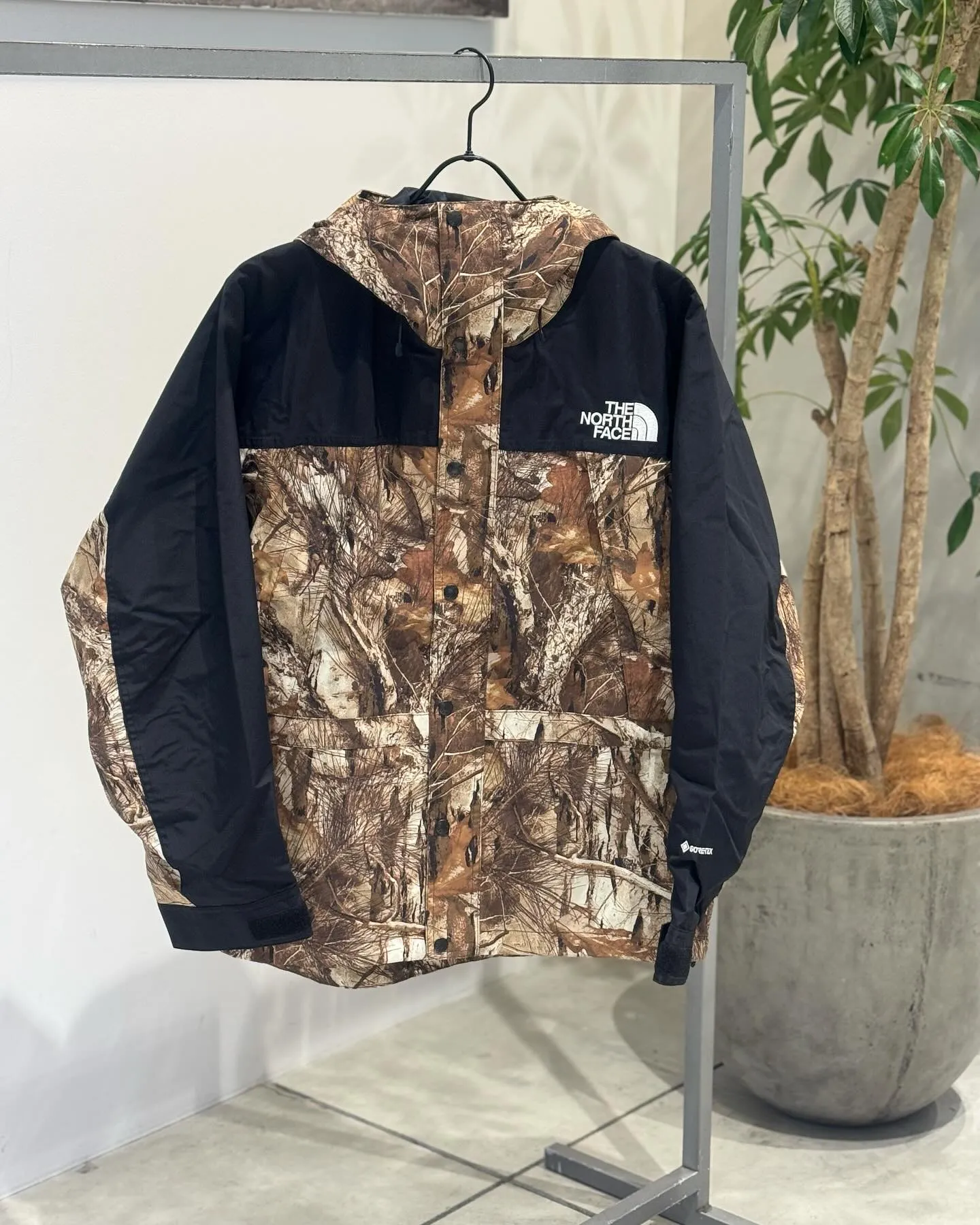 日版The North Face Mountain Light GTX Jacket Forest Floor $1547起免運!