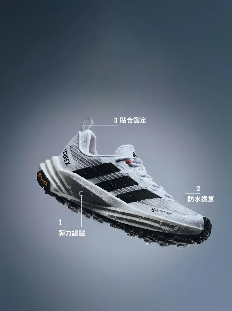 Adidas Terrex Freehiker 3 Low Gore-Tex Hiking Sneaker $481起免運!